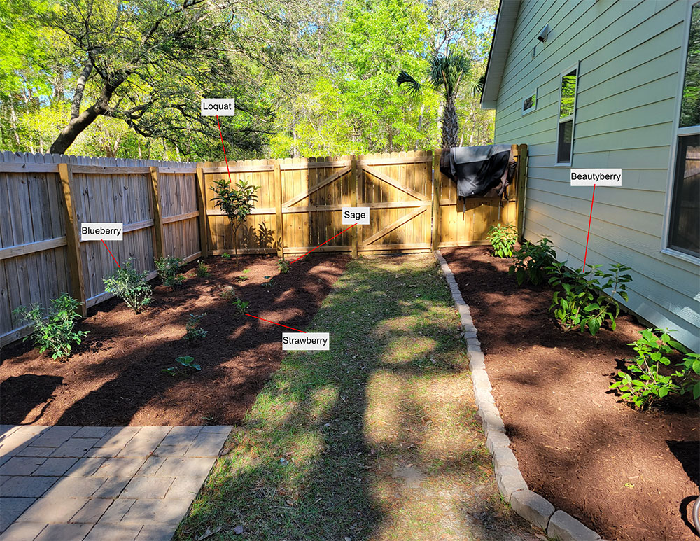 After Edible Landscaping in Charleston, South Carolina 