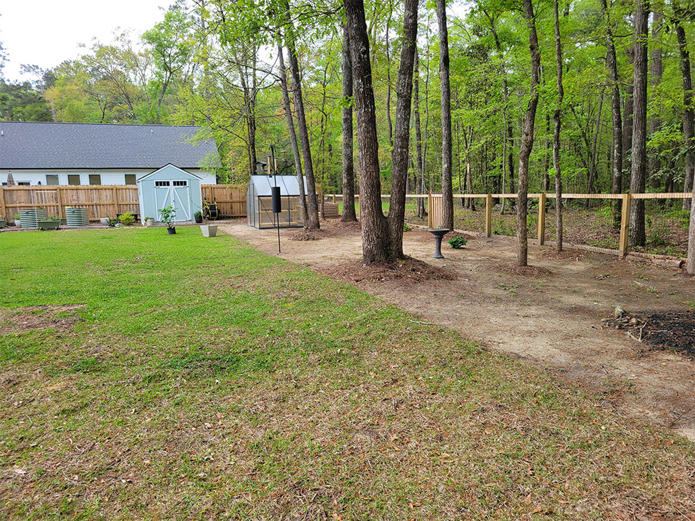 Before Ecological Landscaping in Charleston, South Carolina