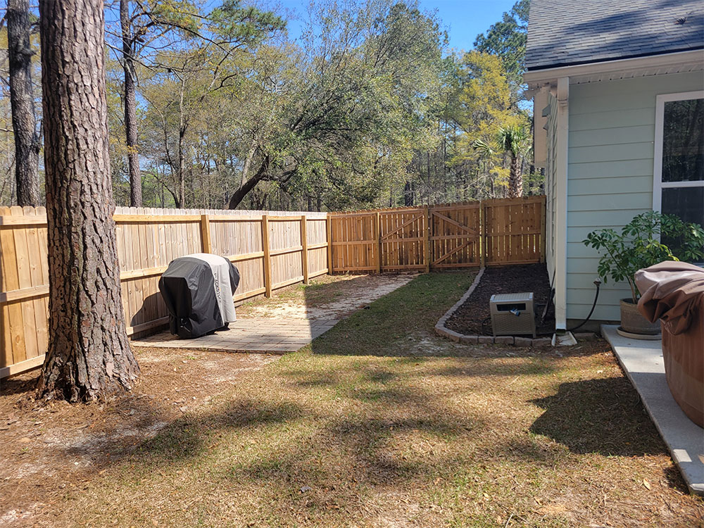 Before Edible Landscaping in Charleston, South Carolina 