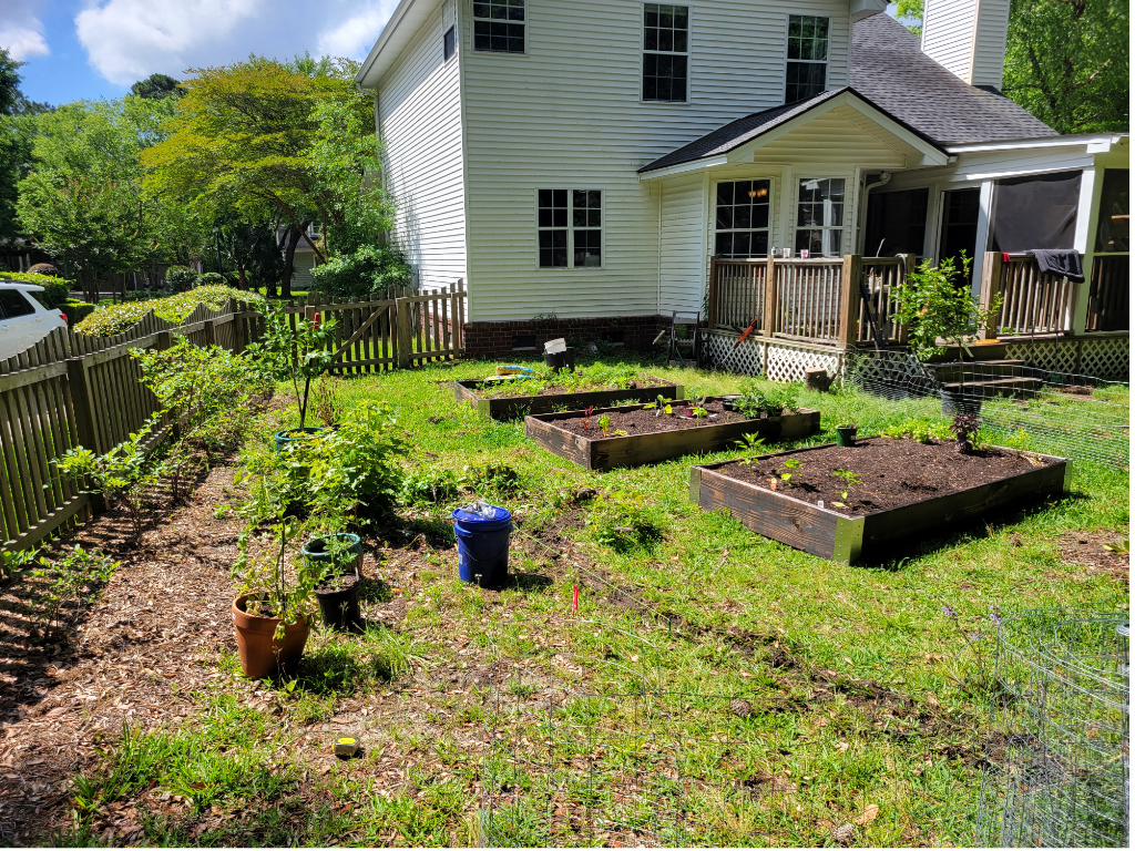 Before Food Forest South Carolina 