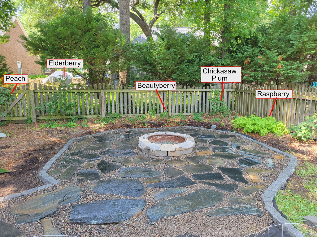 After Flagstone Pathway Installation