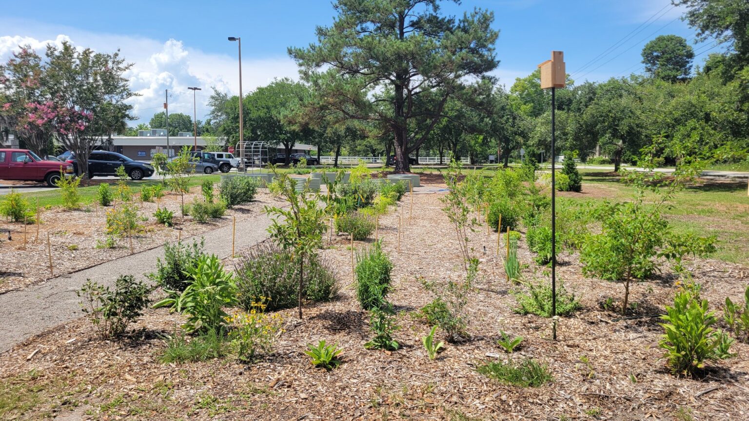 Mount Pleasant Community Food Forest in bloom at the R.L. Jones Center in Mount Pleasant, South Carolina