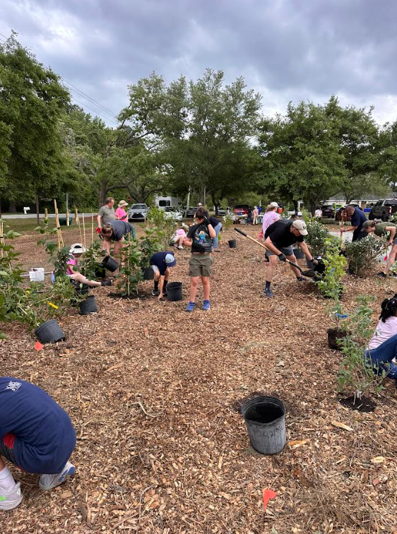 A volunteer planting a tree at the Mount Pleasant Community Food Forest