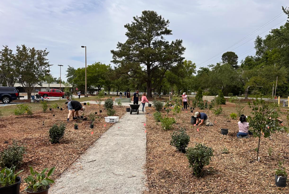 Volunteers planting fruit trees at the Mount Pleasant Community Food Forest planting day